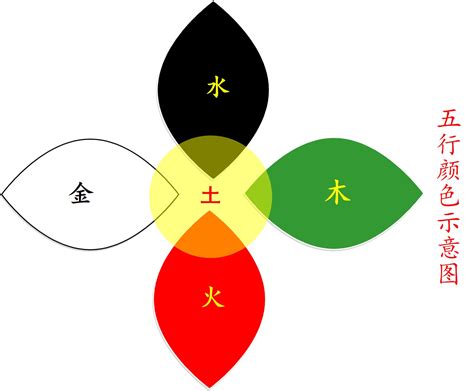 水 木 五行|水与木 的关系？